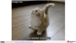 MISSING THUMBNAIL